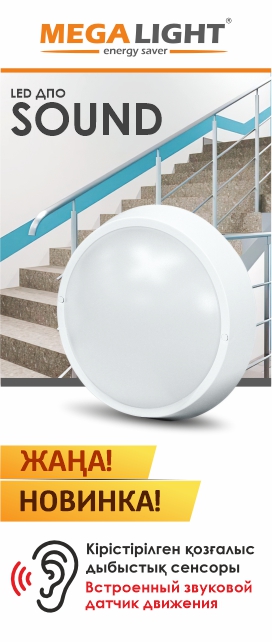 Новинка: LED ДПО SOUND MEGALIGHT